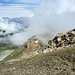 Abstieg vom Gipfel Roc d´Orzival zum Grat in Richtung Cret du Midi