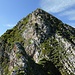 Blick aus der Scharte auf den letzten Gratteil vor dem Gipfel, der im vergleich zum Bisherigen gemütlich (T5) erwandert werden kann.