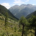 Val Sarsura, vu d'Alp Sarsura Dadaint