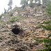 scendendo verso Acquacalda un grande buco nelle rocce soprastanti