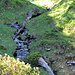 Wasser begleitet meinen Weg