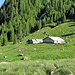Alp de Calvaresc-Sot
