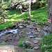 über Wasser musst du gehn