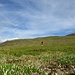 Ein Hikr alleine in der Tundra (Selbstauslöser-Bild)