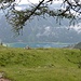 Kurz oberhalb der Dalfazalm mit Blick zum Achensee.