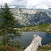 cartolina: "saluti dalla Verzasca"......