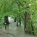 Überschwemmter Auenwald