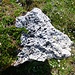 Das Gestein am Gipsgrat ist Rauhwacke (Trias). Das ist Kalkstein mit eingelagerten "Steinen", die an der Oberfläche entweder herausfallen oder herausgewaschen wurden.