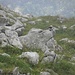 Hübscher Vogel auf Schrattenkalk.<br />Nebenbei - die neue DigiKam im Tele. Das ist schon eine rechte Steigerung - danke Christine.