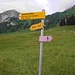 ... ist dann diese Verzweigung mit Abzweig nach Pfannenstiel (Parkplatz & Talstation der SigelBahn)
