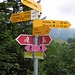Am Ruhsitz(1279m) - auch ein schöner Ort zum Verweilen. Wir nahmen den Naturweg