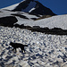 Finalmente la neve!