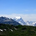 nach Überschreitung des [pass11731 Sunnenbergfurggele 2212 m] rückt der königliche Tödi in den Blick