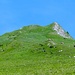 Schlussaufstieg zum Lütispitz. Rechts in der Bildmitte die aggressive Kuhherde.