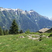 Alp de Curtas, gegenüber Kette Quadro - Corbet - Pombi