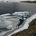 Piccoli iceberg nel Lago Retico