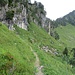 Dieser Kuhpfad führt zur Alp Ober Roggen.