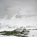 Die Wolken lichten sich für einen Moment und auf dem Gross Schnee wird ein Snowboarder sichtbar, der bei einigen Abfahrten seine Schwünge in den Tiefschnee gezogen hat. Der Aufstieg ist halt ein wenig mühsam
