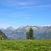 Dalla Starlaresc