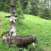 Brunnen im Aufstieg zum Innergsell
