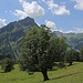 Idyllische Landschaft nahe der Schwarzenberghütte