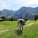 Hundstage in den Dolomiten - so scheint´s jedenfalls. In Wahrheit der einzig wirklichs schöne Tag der ganzen Woche.