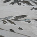 Kleiner Gletschersee am Sardonapass