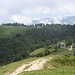 Gli splendidi spazi dell'Alpe Pairolo