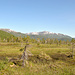 Und immer Berge (ca. 300m) im Hintergrund.