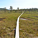 Ånderdalen-Nationalpark