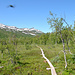 Ånderdalen-Nationalpark