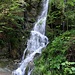 ... wild jedoch der dem Cholersbach zufliessende Wasserfall