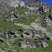 Die ganze Flanke mit dem Pizzo Bidi (Grashügel in der Mitte)