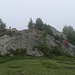 lang anhaltendes Nebelwandern;
nach der Chleini Furgge beginnen die hübschen Felsabschnitte (anders geartete folgen erst nach dem Wannehorn)