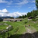 ... zur Alp Äbnit - mit glücklichen Schweinen (die riesige Wiese hinter der Alp können sie nutzen)