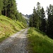 La strada prosegue per 1.4Km fino all' Alpe Stabveder, dove inizia il sentiero