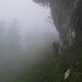 Nebelwanderung / camminata nella nebbia