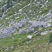 Alpe Lòcia, 1779 metri.