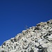 Rocca Marchisia E