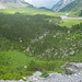 Blick auf den Arven-Föhren-Lärchen-Fichten-Wald an der Spittelmatte.