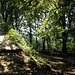 Bei der Ruine Wartburg