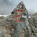 Kleines Matterhorn auf dem Gipfel
