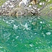 Spiegelung im Glattalpsee