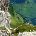 Linthal