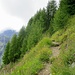 Sentiero panoramico Alpe Ciamporino Alpe Veglia