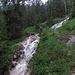 Bächlein werden bei einem Gewitter in den Bergen schnell zu Flüssen. / I ruscelli nella tempesta in montagna velocemente  diventono un fiume.