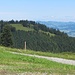 Alp Unter Niedern: Über die Schulter dort drüben - den Sonnenberg - führt die Strasse und dann in weitem Bogen zur Alp