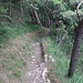 schöner "downhill"-Trail