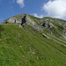 Als Alternative gäbs dann noch das/den Hochgwas.