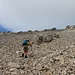 Schuttiger Aufstieg in die Scharte zwischen Krottenspitzen und Hornbachspitze
